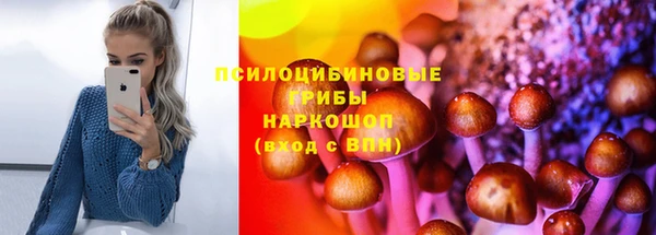 таблы Богданович