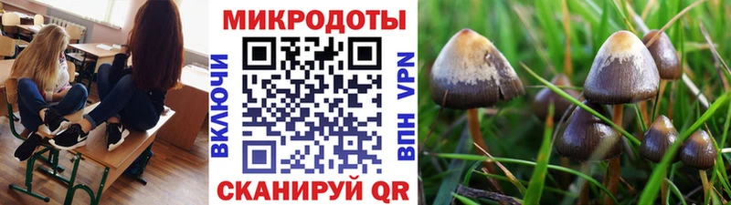 Галлюциногенные грибы MAGIC MUSHROOMS  купить   Котлас 